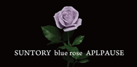 SUNTORY Blue rose