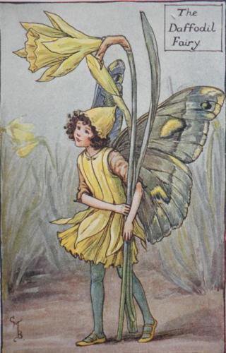 ラッパスイセンの妖精 The Daffodil Fairy ボタニーアイ ボタニカルアート 植物画 通販ショップ