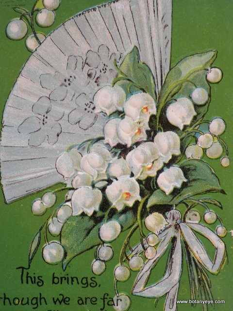 スズランの花束 ボタニーアイ ボタニカルアート 植物画 通販ショップ
