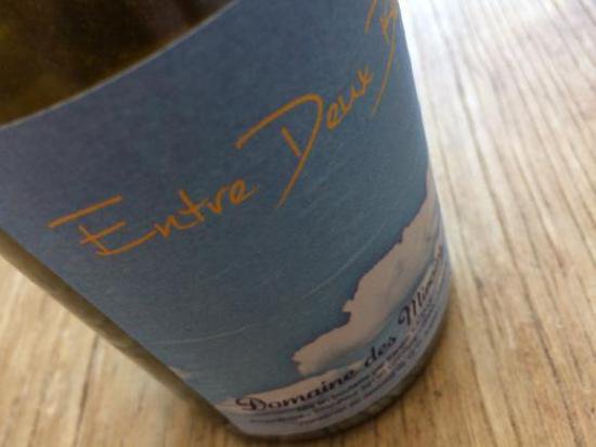 ドメーヌ・デ・ミロワール アントル・ドゥー・ブルー2013年 750ML - 自然派ワイン＆地酒専門店～ HONEST TERROIR