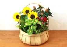 花宅配 おすすめ花ギフト