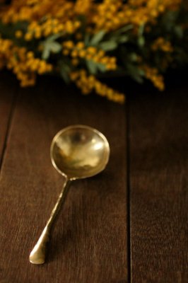 Brass Coffee Measuring Spoon - L 