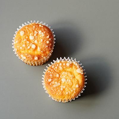 博多塩チーズケーキ 8個入り 博多塩チーズケーキ 8個入り
