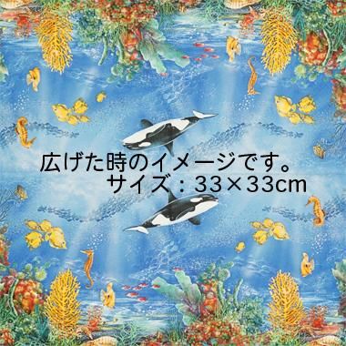 500x0.jpg