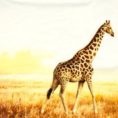 トールペイントの専門会社 ピコット オンラインショップ