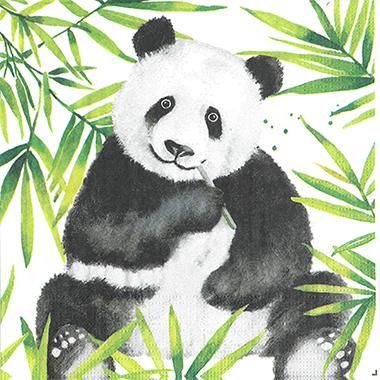 トールペイント　ダストボックス　コーヒーフィルター　ペーパーナプキン　他 トールペイント ダストボックス コーヒーフィルター ペーパー