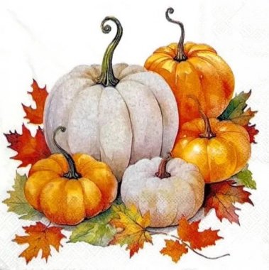 AM-786:ڡѡʥץPumpkin season - AM7865
<img class='new_mark_img2' src='https://img.shop-pro.jp/img/new/icons5.gif' style='border:none;display:inline;margin:0px;padding:0px;width:auto;' />β