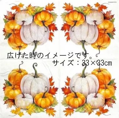 AM-786:ڡѡʥץPumpkin season - AM7865
<img class='new_mark_img2' src='https://img.shop-pro.jp/img/new/icons5.gif' style='border:none;display:inline;margin:0px;padding:0px;width:auto;' />β