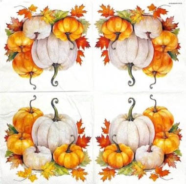 AM-786:ڡѡʥץPumpkin season - AM7865
<img class='new_mark_img2' src='https://img.shop-pro.jp/img/new/icons5.gif' style='border:none;display:inline;margin:0px;padding:0px;width:auto;' />β