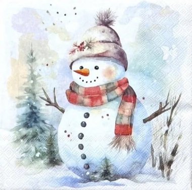 AM-793:ڡѡʥץSnowman in nature - AM7935<img class='new_mark_img2' src='https://img.shop-pro.jp/img/new/icons5.gif' style='border:none;display:inline;margin:0px;padding:0px;width:auto;' />β