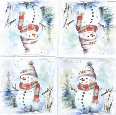 AM-793:ڡѡʥץSnowman in nature - AM7935<img class='new_mark_img2' src='https://img.shop-pro.jp/img/new/icons5.gif' style='border:none;display:inline;margin:0px;padding:0px;width:auto;' />β