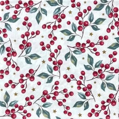 DA-140:ڡѡʥץHolly Berries Background - DA1405<img class='new_mark_img2' src='https://img.shop-pro.jp/img/new/icons5.gif' style='border:none;display:inline;margin:0px;padding:0px;width:auto;' />β