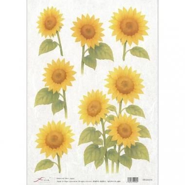 FRA40256饤ڡѡFRA402561 Ūκʤ˻Ѳǽ<img class='new_mark_img2' src='https://img.shop-pro.jp/img/new/icons5.gif' style='border:none;display:inline;margin:0px;padding:0px;width:auto;' />β
