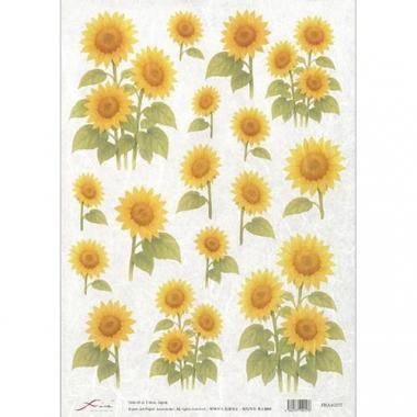 FRA40257饤ڡѡFRA402571 Ūκʤ˻Ѳǽ<img class='new_mark_img2' src='https://img.shop-pro.jp/img/new/icons5.gif' style='border:none;display:inline;margin:0px;padding:0px;width:auto;' />β