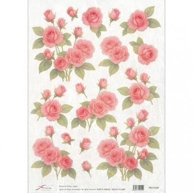 FRA40259饤ڡѡFRA402591 Ūκʤ˻Ѳǽ<img class='new_mark_img2' src='https://img.shop-pro.jp/img/new/icons5.gif' style='border:none;display:inline;margin:0px;padding:0px;width:auto;' />β