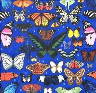 MG-2:ڡѡʥץButterflies  (M&G)- MG25(4Ҥ<img class='new_mark_img2' src='https://img.shop-pro.jp/img/new/icons5.gif' style='border:none;display:inline;margin:0px;padding:0px;width:auto;' />β