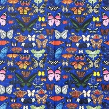 MG-2:ڡѡʥץButterflies  (M&G)- MG25(4Ҥ<img class='new_mark_img2' src='https://img.shop-pro.jp/img/new/icons5.gif' style='border:none;display:inline;margin:0px;padding:0px;width:auto;' />β