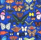 MG-2:ڡѡʥץButterflies  (M&G)- MG25(4Ҥ<img class='new_mark_img2' src='https://img.shop-pro.jp/img/new/icons5.gif' style='border:none;display:inline;margin:0px;padding:0px;width:auto;' />ξʼ̿