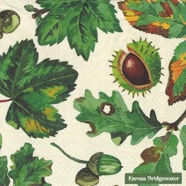 IH-719:ڡѡʥץTREES AND LEAVES creamʥޡ֥å- IH7195(4Ҥ<img class='new_mark_img2' src='https://img.shop-pro.jp/img/new/icons5.gif' style='border:none;display:inline;margin:0px;padding:0px;width:auto;' />β