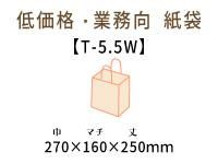 T-5.5Wޡʻɳ