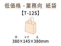 T-12Sޡʻɳ