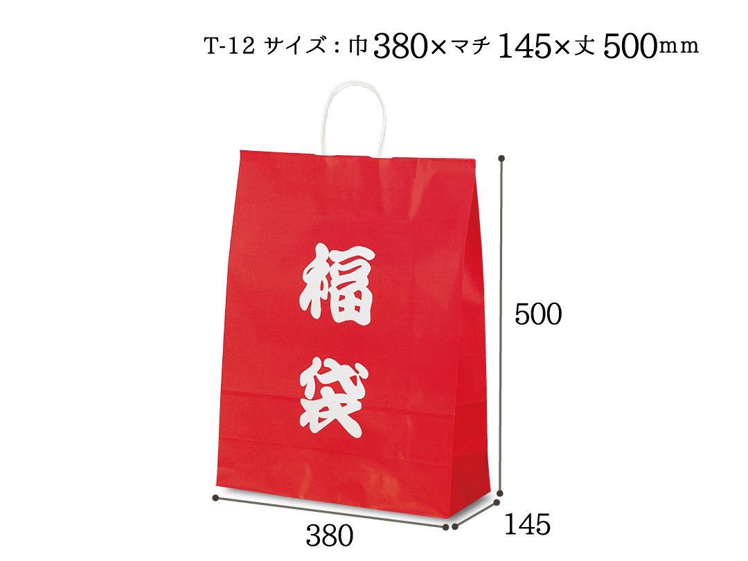 紙袋　T-12　福袋(文字)