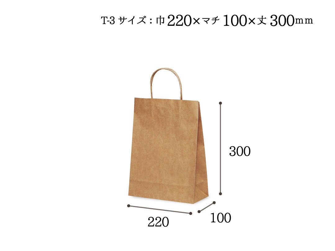 があります T-1 自動紐手提袋 紙袋 紙丸紐タイプ 180×100×210mm 200枚 カラー(カカオ) 1112 DIY.com - 通販 -  PayPayモール ばない