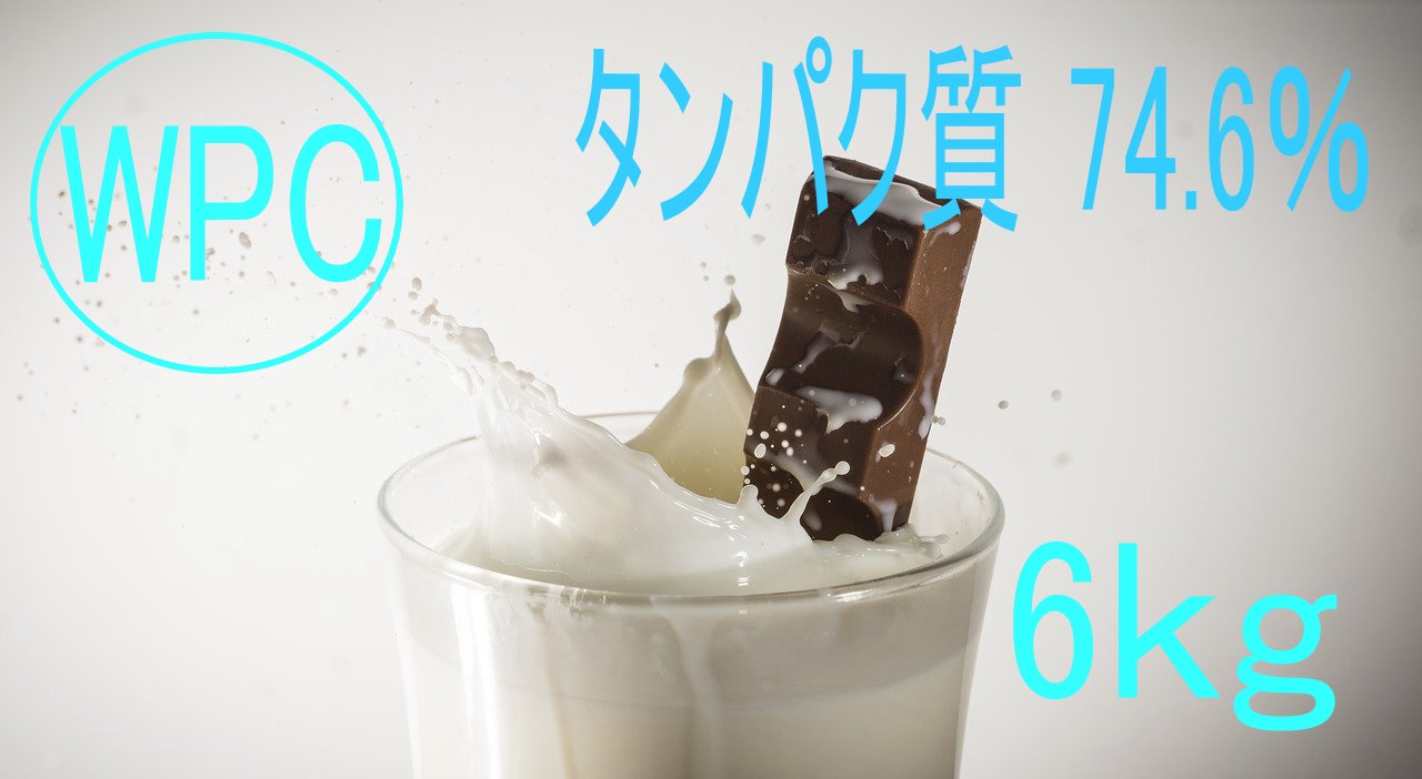 540WPC（チョコレート）6キロ【送料無料】