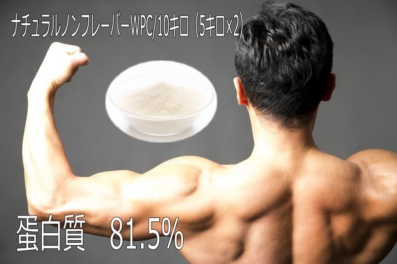 マイプロテイン