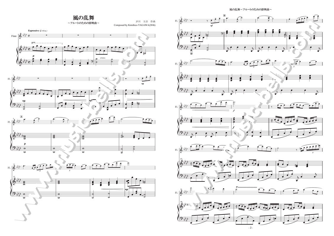 フルートとピアノ クラシックコンサート フルート楽譜 - 器材