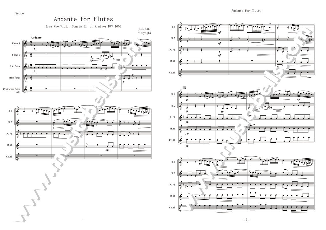 J.S.バッハ　無伴奏ヴァイオリンソナタ第2番より「アンダンテ」　フルートオーケストラ（大谷木 靖編） - 楽譜出版社 《ミュージック・ベルズ》  Music Bells Publishing