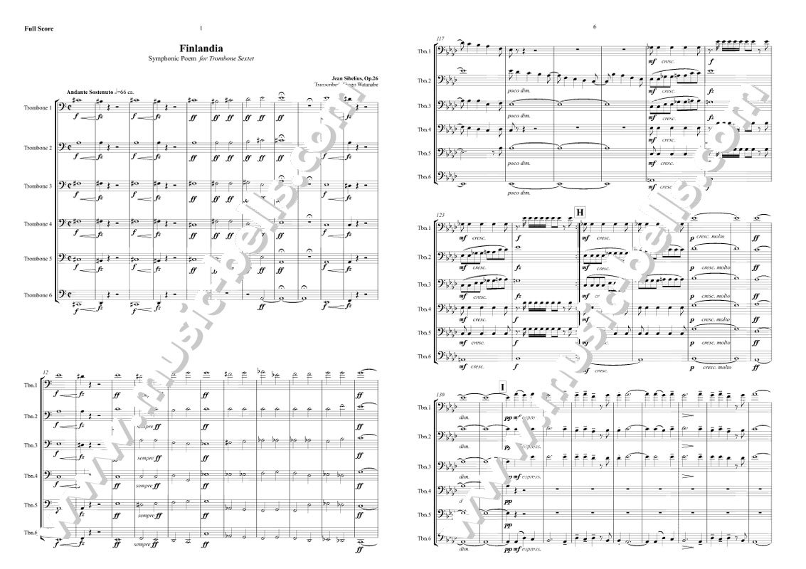 フィンランディア オーケストラパート譜 スコア - 楽譜