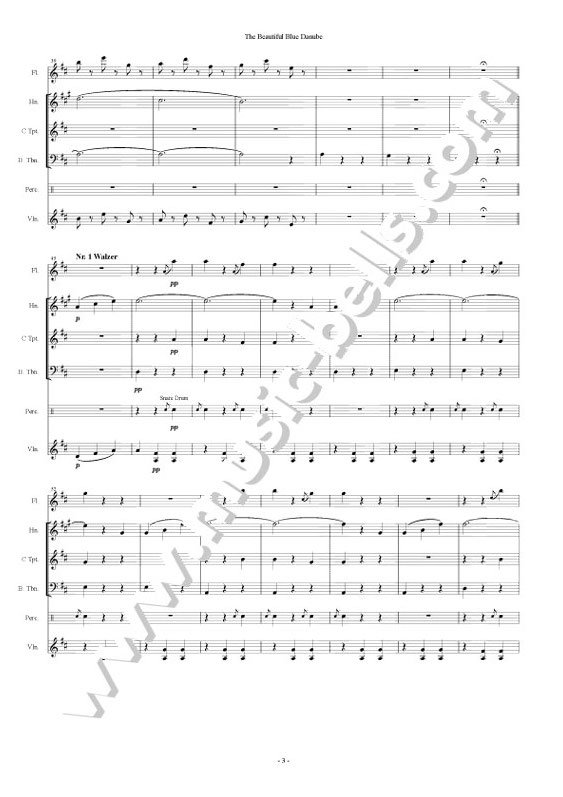 J.シュトラウス２世　ワルツ「美しき青きドナウ」　混合六重奏：Vn