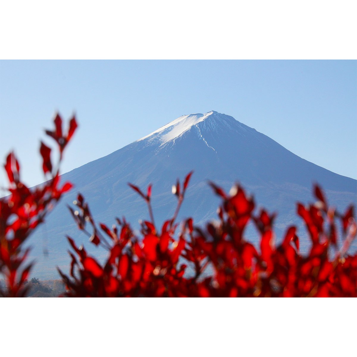 テラウチマサト作品<br>「LETTERS〜一緒に見た富士山〜#005」<br>A3サイズ