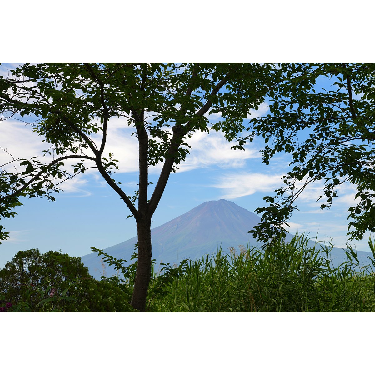 テラウチマサト作品<br>「LETTERS〜一緒に見た富士山〜#007」<br>A3サイズ