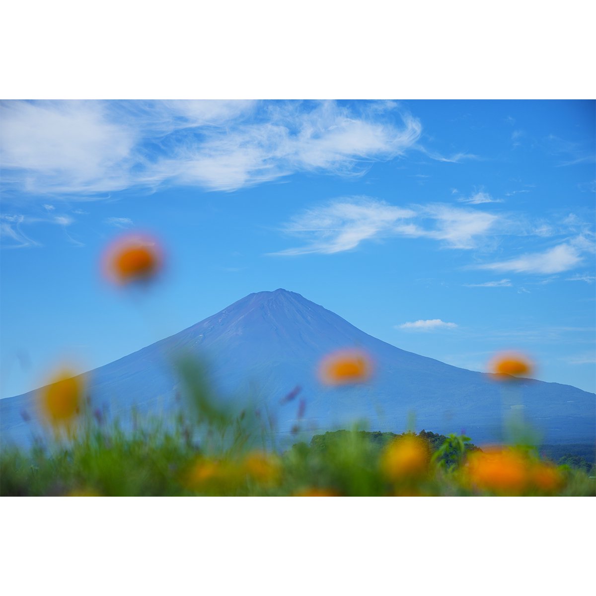 テラウチマサト作品<br>「LETTERS〜一緒に見た富士山〜#009」<br>A3サイズ