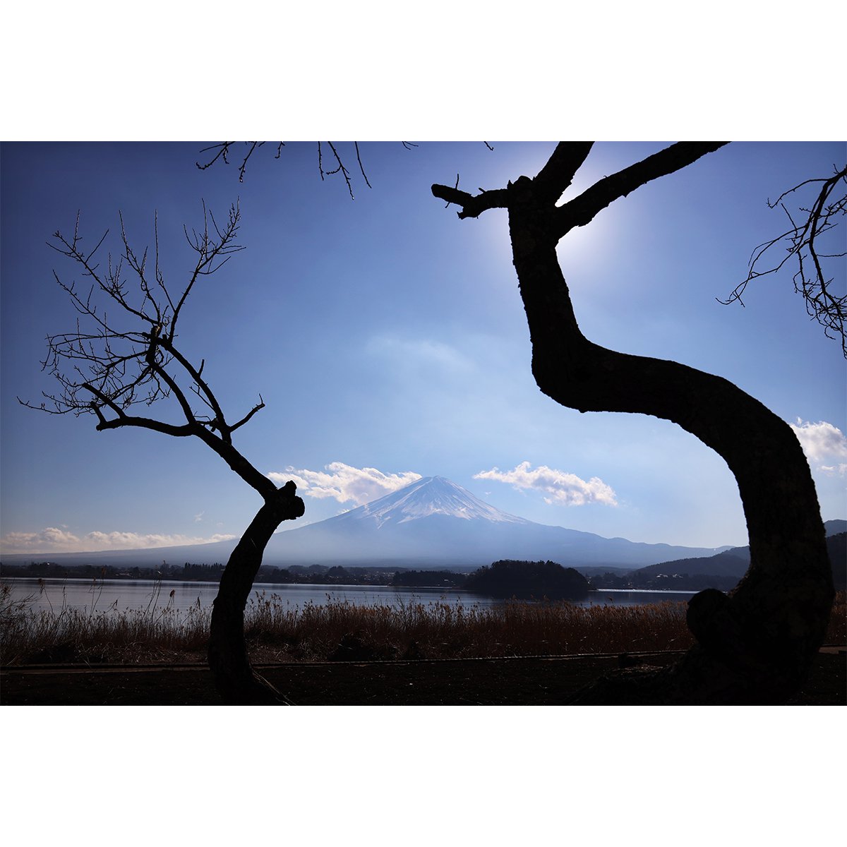 テラウチマサト作品<br>「LETTERS〜一緒に見た富士山〜#011」<br>A3サイズ