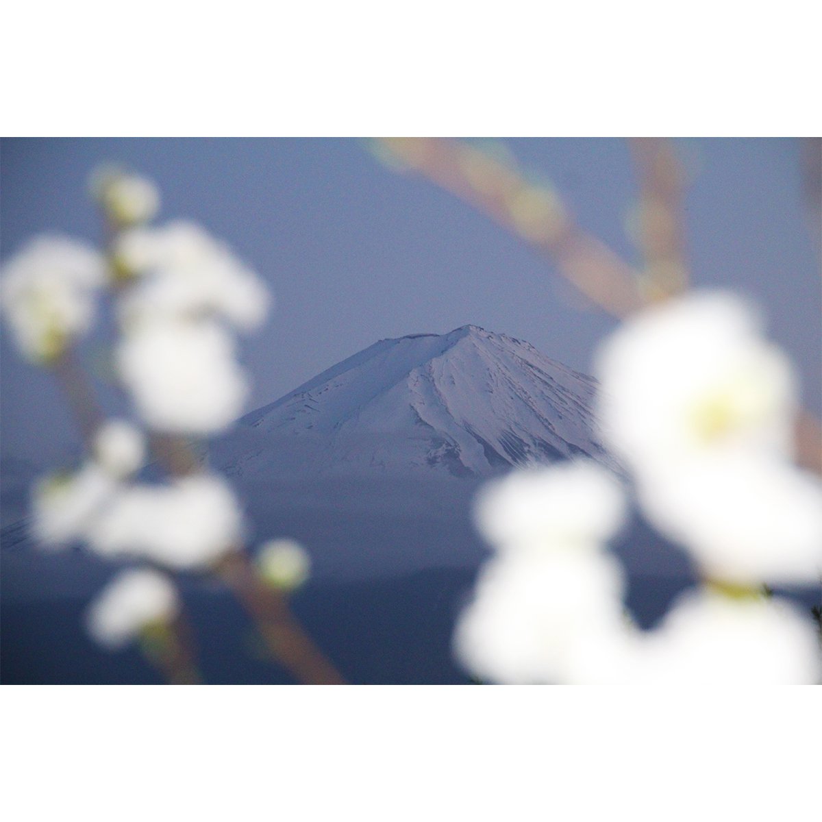 テラウチマサト作品<br>「LETTERS〜一緒に見た富士山〜#013」<br>A4サイズ