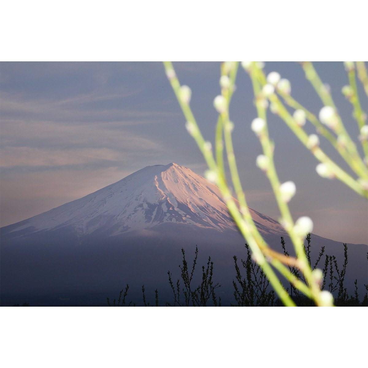 テラウチマサト作品<br>「LETTERS〜一緒に見た富士山〜#014」<br>A4サイズ