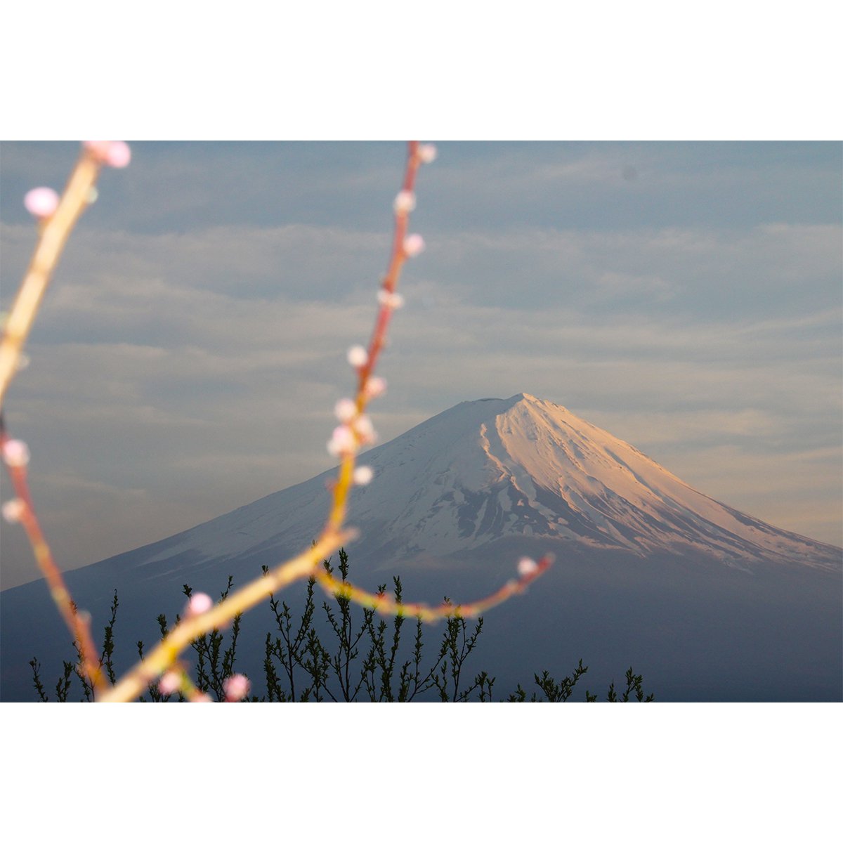 テラウチマサト作品<br>「LETTERS〜一緒に見た富士山〜#015」<br>A4サイズ