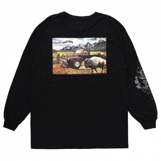 PORKCHOP F-100 L/S Tee<img class='new_mark_img2' src='https://img.shop-pro.jp/img/new/icons7.gif' style='border:none;display:inline;margin:0px;padding:0px;width:auto;' />