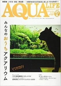 アクアライフ 1月号 (発売日2020年12月11日) | 雑誌/電子書籍