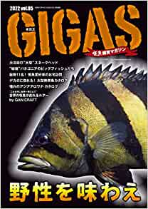 GIGAS ギガス 5冊セット - 趣味/スポーツ