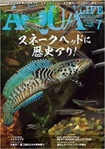 月刊アクアライフ 2023年全号 バックナンバーΩ