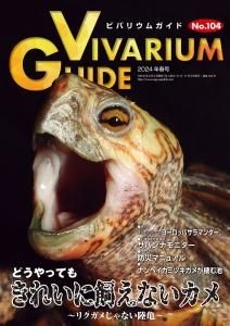 ビバリウムガイド バラ売り要相談‼︎