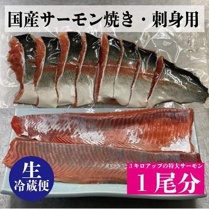 福井県産 焼き 刺身用ふくいサーモン１尾分 約９００g ２パック 冷蔵