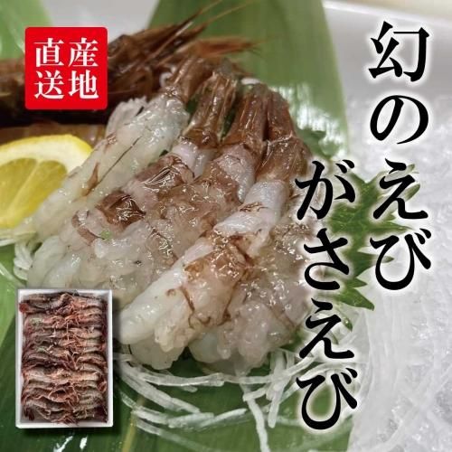 船内急速冷凍】福井県産 幻の越前ガサエビ お刺身用【冷凍便】