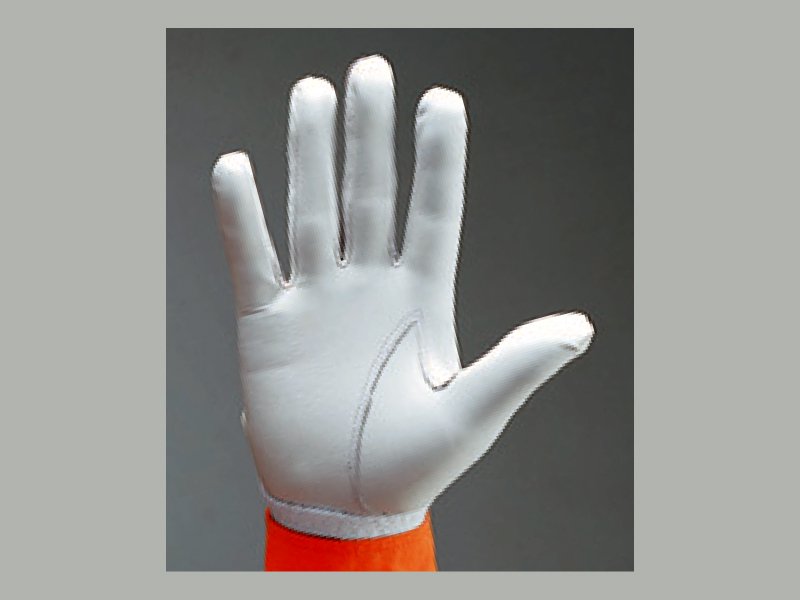 トンボレックス R-MAX1 羊革製手袋 - 【公式通販】消防グッズ通販の【消防ユニフォーム】