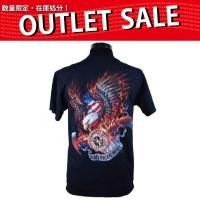 ߸˸¤̲ʥʡ FireRescue Eagle T