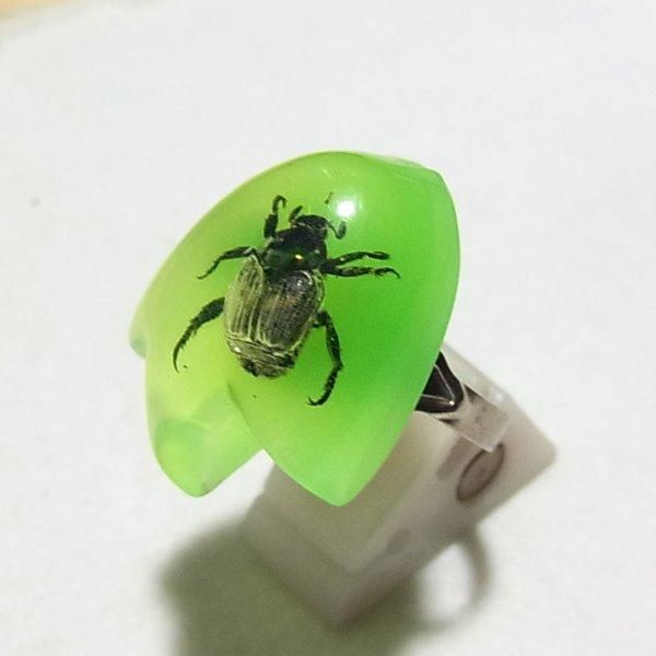 樹脂に本物の虫が埋まったリング、ヴィンテージリング